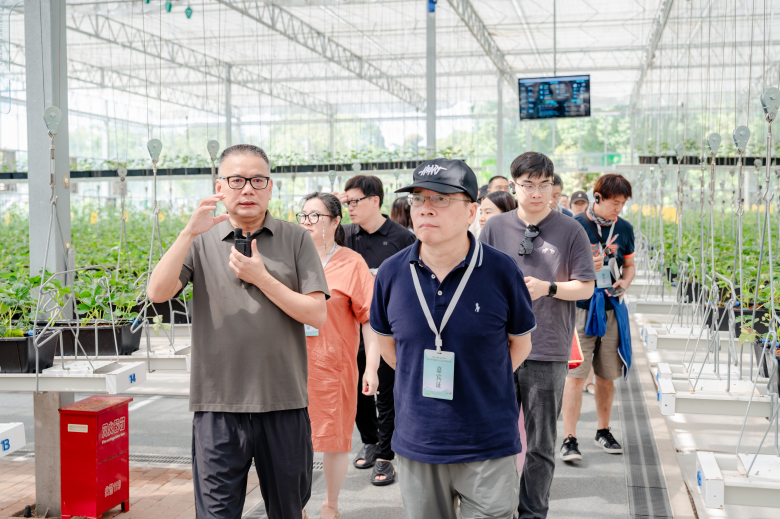 太美了！2025世界溫州人文藝家赴楠溪江創作采風紀實